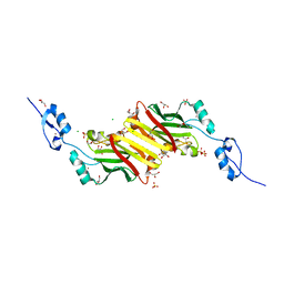 BU of 4ca1 by Molmil