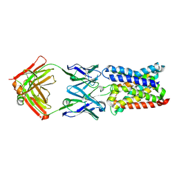 BU of 4cad by Molmil