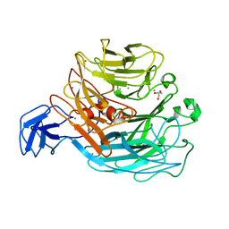 BU of 4cag by Molmil