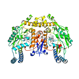 BU of 4can by Molmil