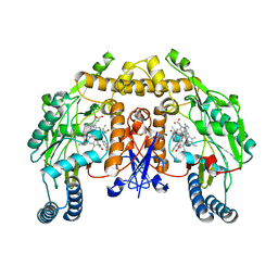 BU of 4cap by Molmil