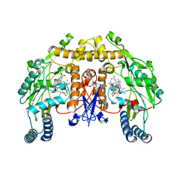 BU of 4caq by Molmil