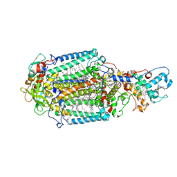 BU of 4cas by Molmil