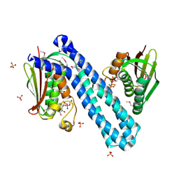 BU of 4cb0 by Molmil