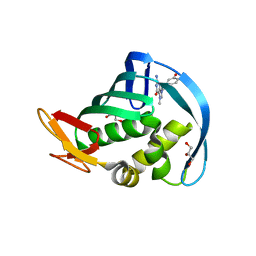 BU of 4cb7 by Molmil