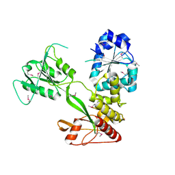 BU of 4cbg by Molmil