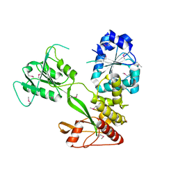 BU of 4cbg by Molmil