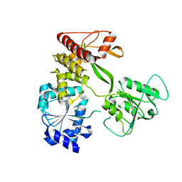 BU of 4cbl by Molmil