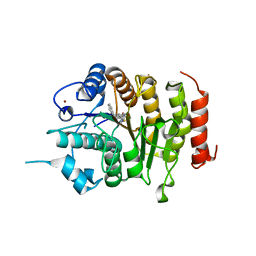 BU of 4cbt by Molmil