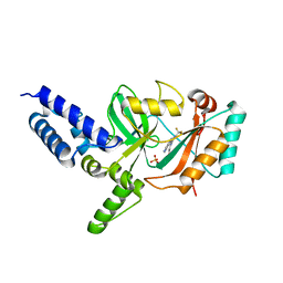 BU of 4cc6 by Molmil