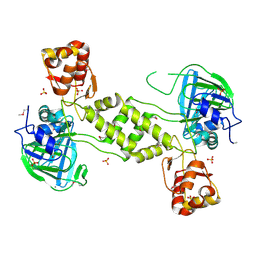 BU of 4ccl by Molmil