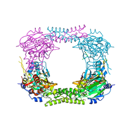 BU of 4ccm by Molmil