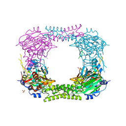 BU of 4ccn by Molmil