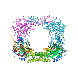 BU of 4ccn by Molmil