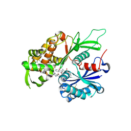 BU of 4cd1 by Molmil