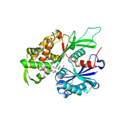 AU of 4cd1 by Molmil