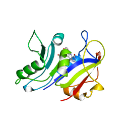 BU of 4cd2 by Molmil