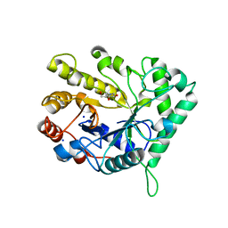 BU of 4cd4 by Molmil