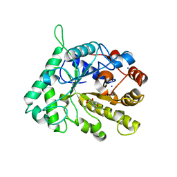 BU of 4cd5 by Molmil