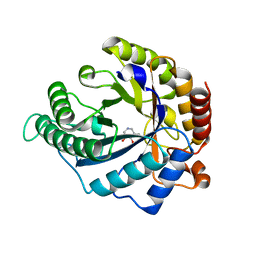 BU of 4cd6 by Molmil