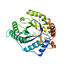 BU of 4cd8 by Molmil