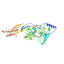 BU of 4cdb by Molmil