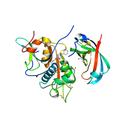 BU of 4cdc by Molmil