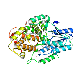 BU of 4cdm by Molmil