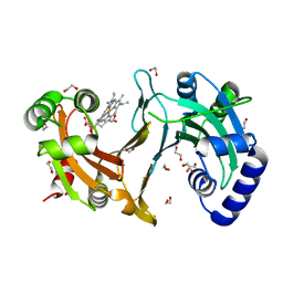 BU of 4cdp by Molmil