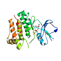 AU of 4cds by Molmil