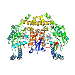 BU of 4cdt by Molmil