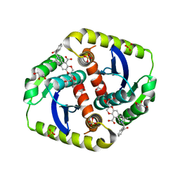 BU of 4ce9 by Molmil