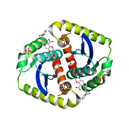 BU of 4ceq by Molmil