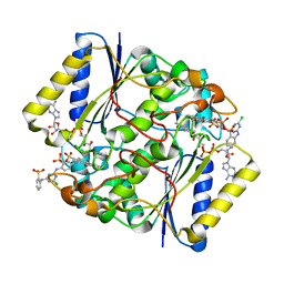 BU of 4cf6 by Molmil