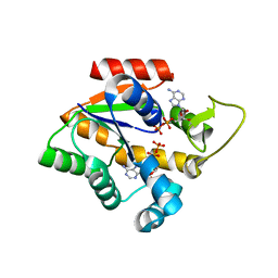 BU of 4cf7 by Molmil