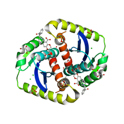 BU of 4cf8 by Molmil