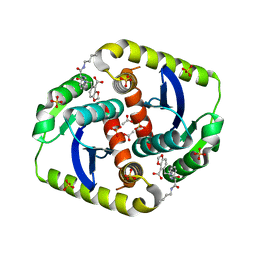 BU of 4cfc by Molmil