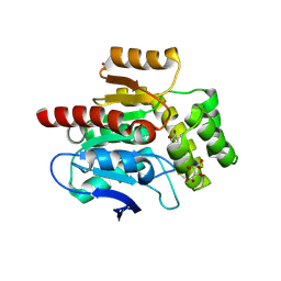 BU of 4cfs by Molmil