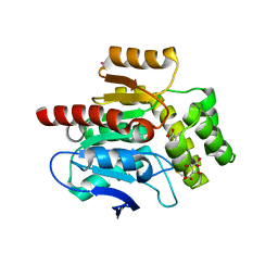 BU of 4cfs by Molmil