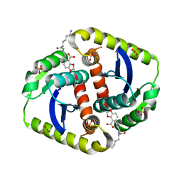 BU of 4cgi by Molmil