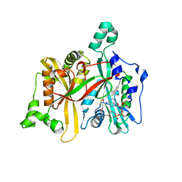 BU of 4cgp by Molmil