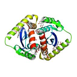 BU of 4chp by Molmil