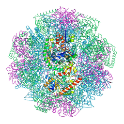 BU of 4ci0 by Molmil