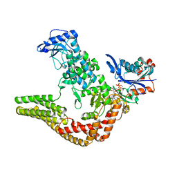 BU of 4ci6 by Molmil