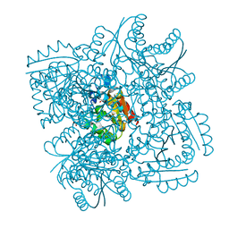 BU of 4ciw by Molmil