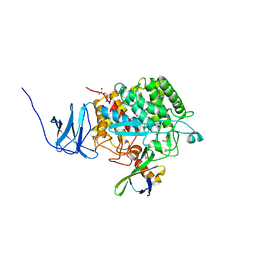 BU of 4cj1 by Molmil