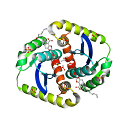 BU of 4cj3 by Molmil