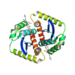 BU of 4cje by Molmil