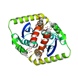 BU of 4ck1 by Molmil