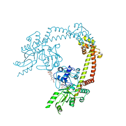 BU of 4ckl by Molmil